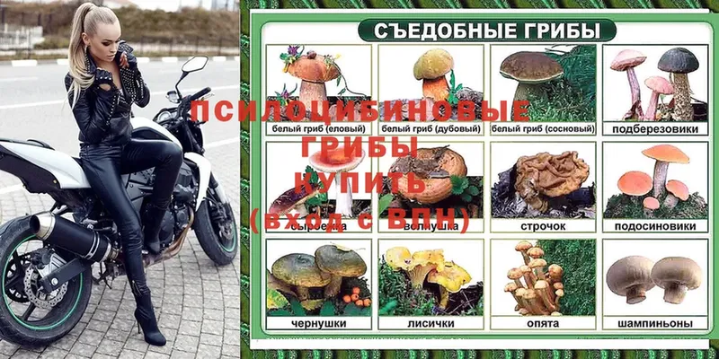 Галлюциногенные грибы Magic Shrooms  hydra ССЫЛКА  Суоярви  дарнет шоп 